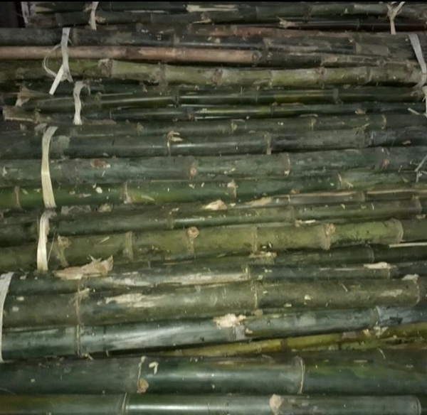 Cọc loại 3 - Cọc Tre, Cọc Bê Tông Hà Nội  - Công Ty TNHH Cọc Tre Và Cọc Bê Tông Hùng Mai