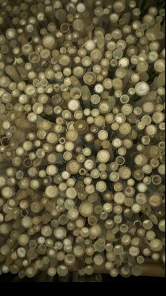 Cọc loại 3 - Cọc Tre, Cọc Bê Tông Hà Nội  - Công Ty TNHH Cọc Tre Và Cọc Bê Tông Hùng Mai