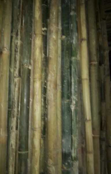 Cọc loại 3 - Cọc Tre, Cọc Bê Tông Hà Nội  - Công Ty TNHH Cọc Tre Và Cọc Bê Tông Hùng Mai