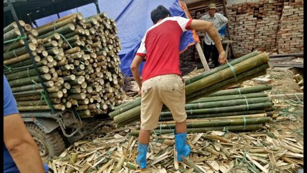 Luống tre - Cọc Tre, Cọc Bê Tông Hà Nội  - Công Ty TNHH Cọc Tre Và Cọc Bê Tông Hùng Mai