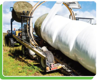 Cuộn LLDPE khổ rộng - Màng Nhà Kính Vạn Phúc - Công Ty TNHH Thương Mại Và Sản Xuất Vạn Phúc