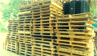 Pallet gỗ - Pallet Sống Thật - Công Ty TNHH Sống Thật