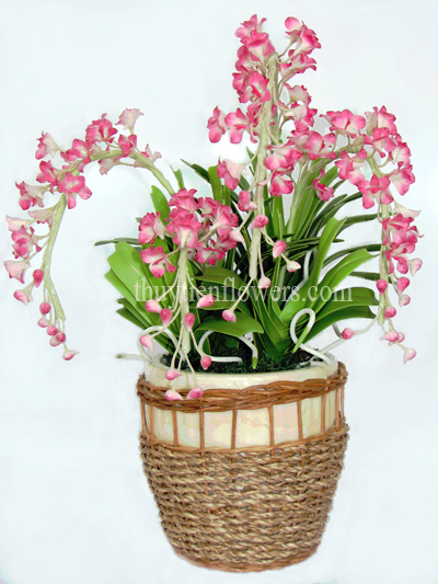 Hoa đất sét - Cơ Sở Thủy Tiên Flowers