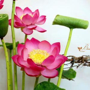 Hoa đất sét - Hoa đất sét Bình Tiên Clay flower