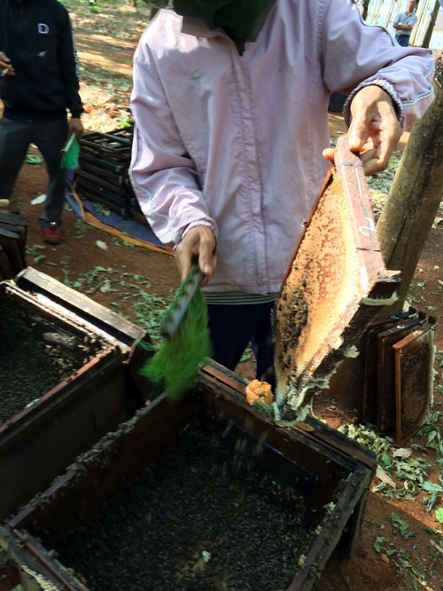 Hình ảnh công ty - Công Ty TNHH Thương Mại Và Sản Xuất Mật Ong Nhân Đức