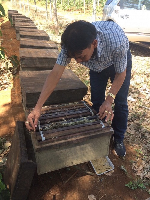 Hình ảnh công ty - Công Ty TNHH Thương Mại Và Sản Xuất Mật Ong Nhân Đức