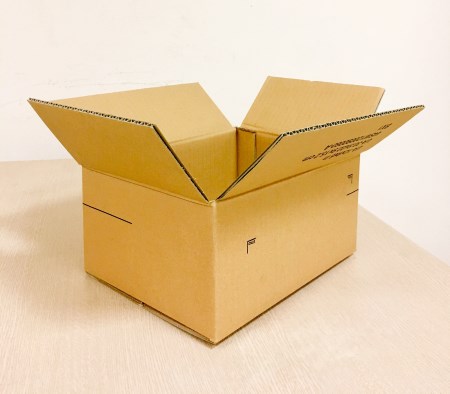 Thùng carton nắp thường