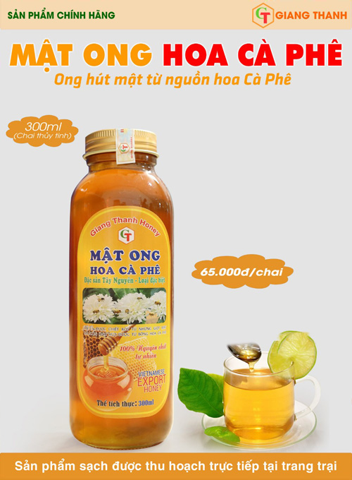 Mật ong hoa cà phê