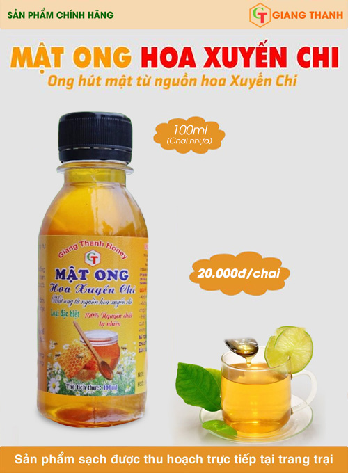 Mật ong hoa xuyến chi