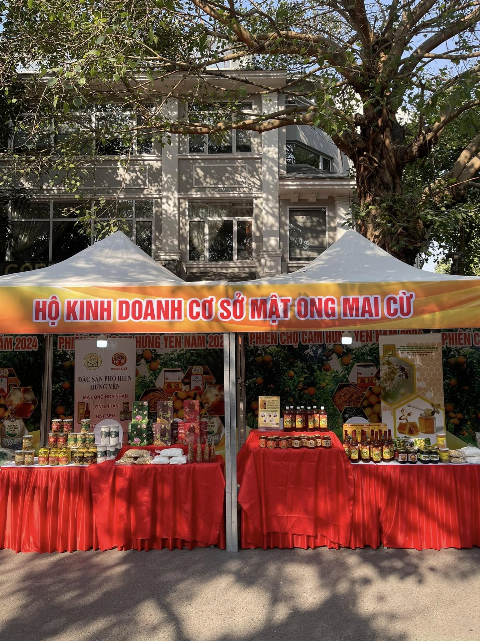 Hình ảnh công ty Mai Cừ