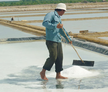 Dự án màng HDPE làm ruộng muối - Màng Chống Thấm Hoàng Thiên Phú - Công Ty TNHH Đầu Tư Xây Dựng Hoàng Thiên Phú