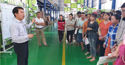Công Ty Cổ Phần Đào Tạo Và Tư Vấn MTC