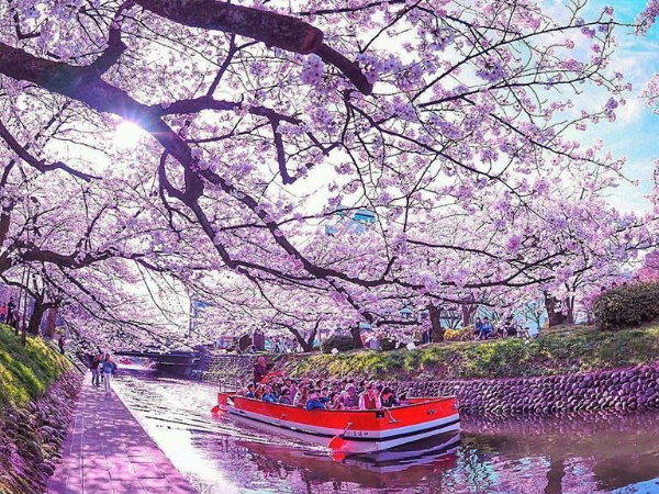 Tour du lịch kết hợp