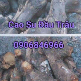 Củi Đốt Lò Hơi Huỳnh Quế Anh – Công Ty TNHH Huỳnh Quế Anh