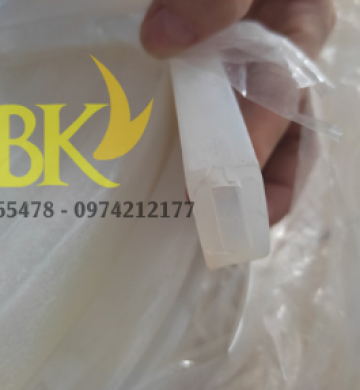 Ống silicone