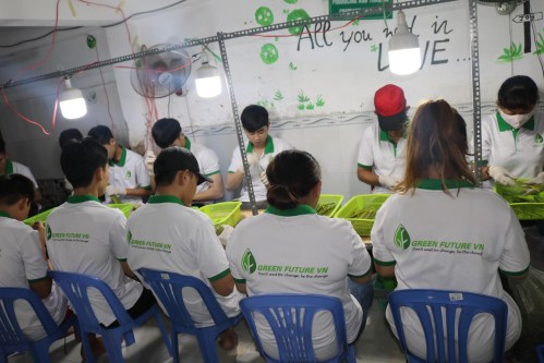  - ống Hút Cỏ Bàng Green Future - Công Ty TNHH Sản Xuất Và Thương Mại Green Future Việt Nam
