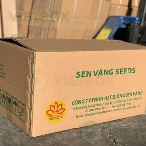 Bao bì Carton in Flexo
