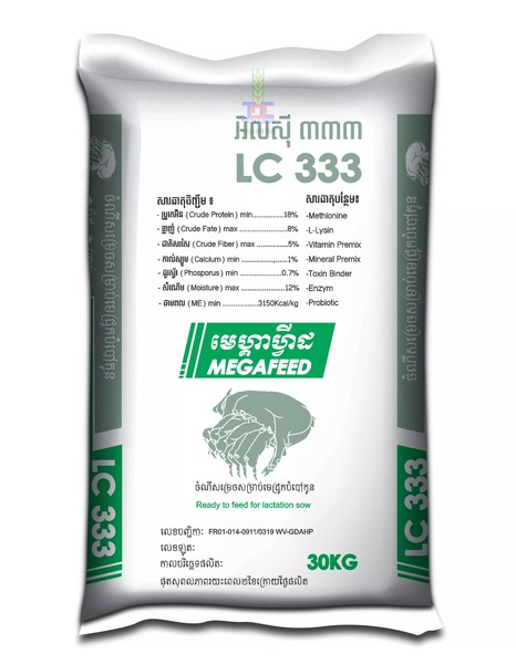 Bao dệt PP tráng 18