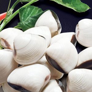 Ngao trắng - Sài Thanh Food - Công TY TNHH TM DV Sản Xuất Sài Thanh