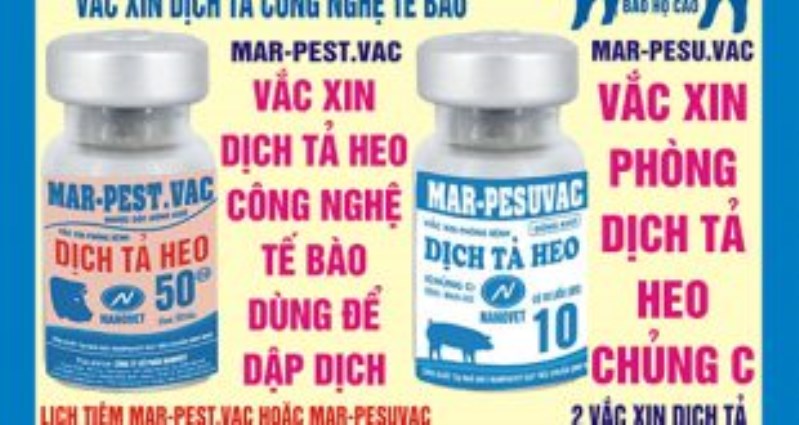 Vắc xin dịch tả heo - Công Ty Cổ Phần Nanovet