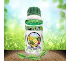 Siêu vôi sữa phân bón cao cấp dành cho hoa kiểng