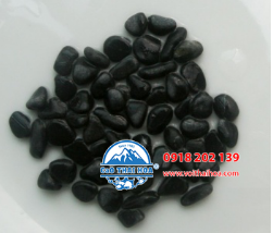 Sỏi các loại