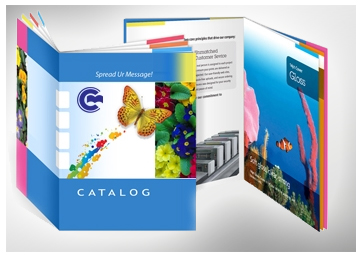 Thiết kế và in Catalogue