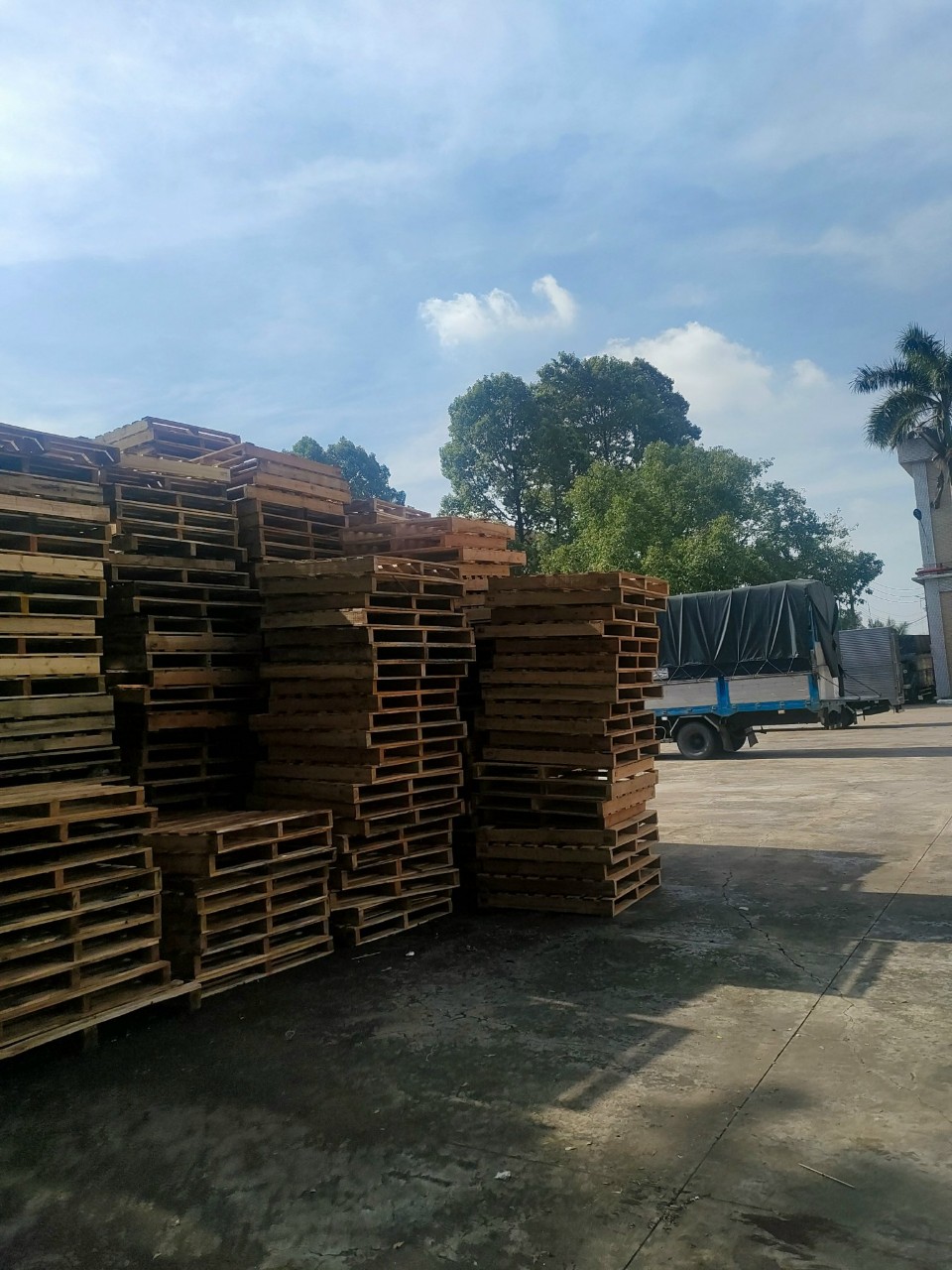 Pallet gỗ - Pallet Gỗ Minh Đức - Cơ Sở Pallet Gỗ Minh Đức