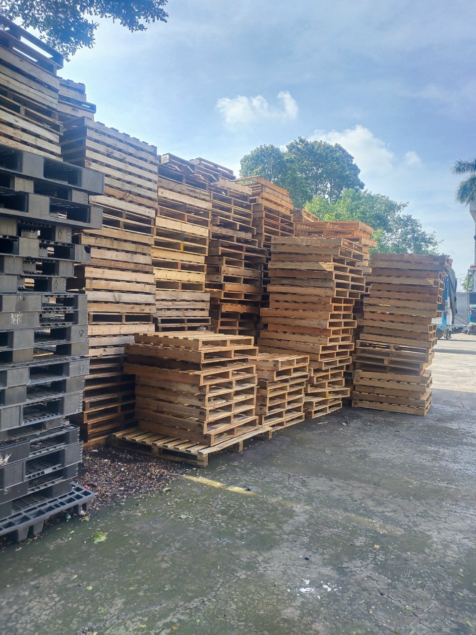 Pallet gỗ - Pallet Gỗ Minh Đức - Cơ Sở Pallet Gỗ Minh Đức