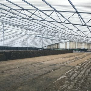 Tấm lấy sáng Composite 5 sóng