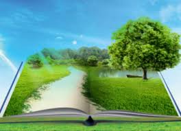 Dịch vụ tư vấn môi trường