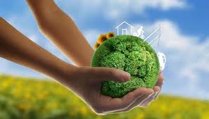 Dịch vụ tư vấn môi trường