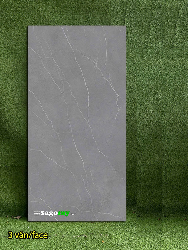 Gạch 60x120cm ấn độ xám mờ Carving
