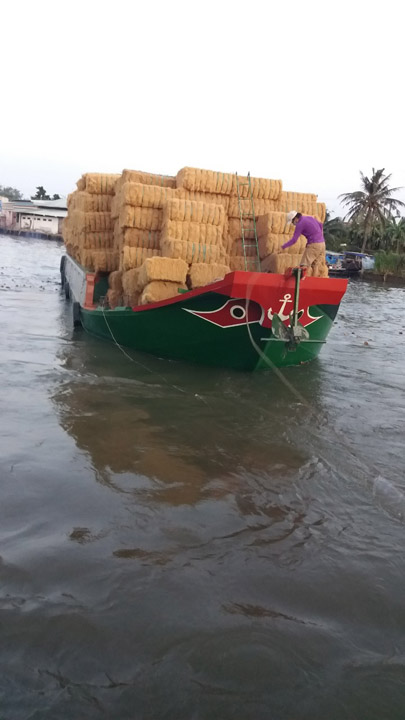 Chỉ xơ dừa đóng kiện - Xơ Dừa Minh Minh Tâm  - Công Ty TNHH Một Thành Viên Minh Minh Tâm