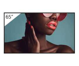 Màn hình chuyên dụng Sony Pro Bravia FW-65BZ40L