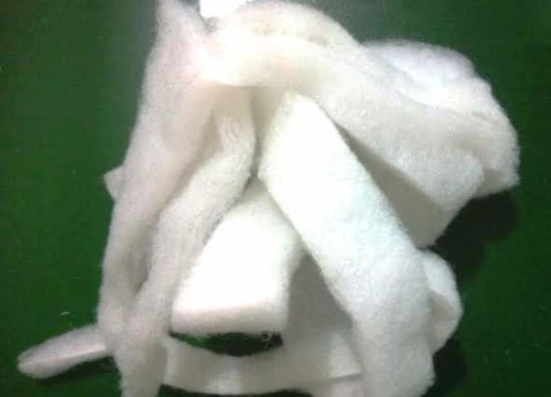 Bông gòn vụn áo gió