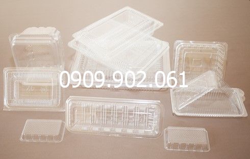 Khay nhựa đựng thực phẩm - Bao Bì Nhựa Định Hình Tiền Gia - Công Ty TNHH Tiền Gia