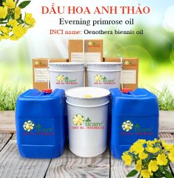 Dầu hoa anh thảo Evening Primrose Oil - Tinh Dầu Thiên Nhiên Oil Care - Công Ty TNHH Oil Care