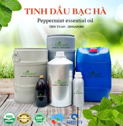 Tinh dầu bạc hà Singapore - Tinh Dầu Thiên Nhiên Oil Care - Công Ty TNHH Oil Care