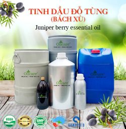 Tinh dầu bách xù đỗ tùng - Tinh Dầu Thiên Nhiên Oil Care - Công Ty TNHH Oil Care