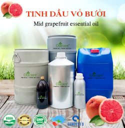 Tinh dầu bưởi - Tinh Dầu Thiên Nhiên Oil Care - Công Ty TNHH Oil Care