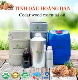 Tinh dầu hoàng đàn - Tinh Dầu Thiên Nhiên Oil Care - Công Ty TNHH Oil Care