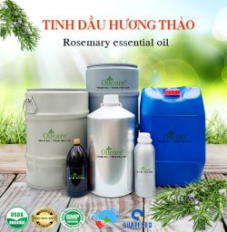 Tinh dầu hương thảo - Tinh Dầu Thiên Nhiên Oil Care - Công Ty TNHH Oil Care