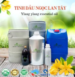 Tinh dầu ngọc lan tây - Tinh Dầu Thiên Nhiên Oil Care - Công Ty TNHH Oil Care