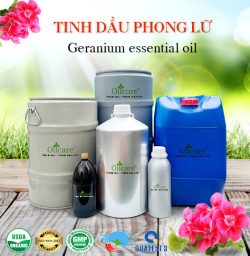 Tinh dầu phong lữ - Tinh Dầu Thiên Nhiên Oil Care - Công Ty TNHH Oil Care