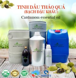 Tinh dầu thảo quả Cardamom - Tinh Dầu Thiên Nhiên Oil Care - Công Ty TNHH Oil Care