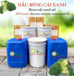 Dầu bông cải xanh Broccoli Seed Oil - Tinh Dầu Thiên Nhiên Oil Care - Công Ty TNHH Oil Care