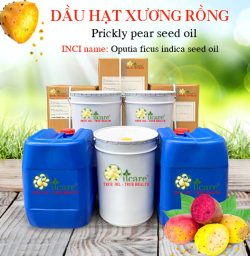 Dầu hạt xương rồng Prickly Pear Seed Oil - Tinh Dầu Thiên Nhiên Oil Care - Công Ty TNHH Oil Care