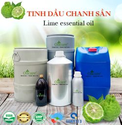 Tinh dầu chanh sần - Tinh Dầu Thiên Nhiên Oil Care - Công Ty TNHH Oil Care