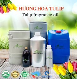 Tinh dầu hoa Tulip Oil Flower - Tinh Dầu Thiên Nhiên Oil Care - Công Ty TNHH Oil Care